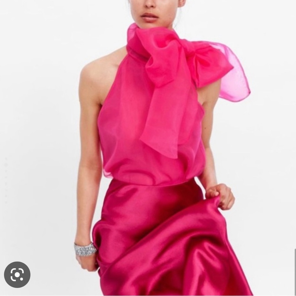 Zara Pink Sheer Organza Top with Bow